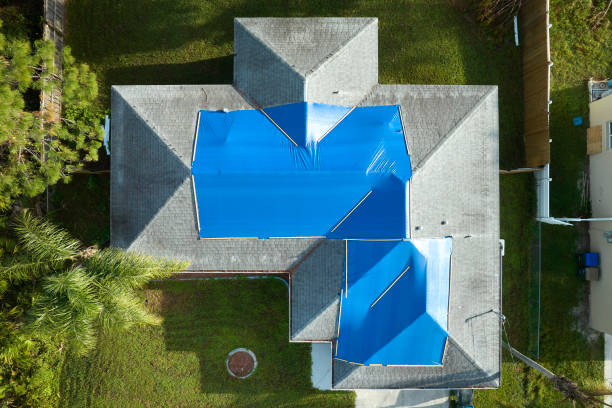 Best Roof Maintenance and Cleaning  in Adamsville, TN