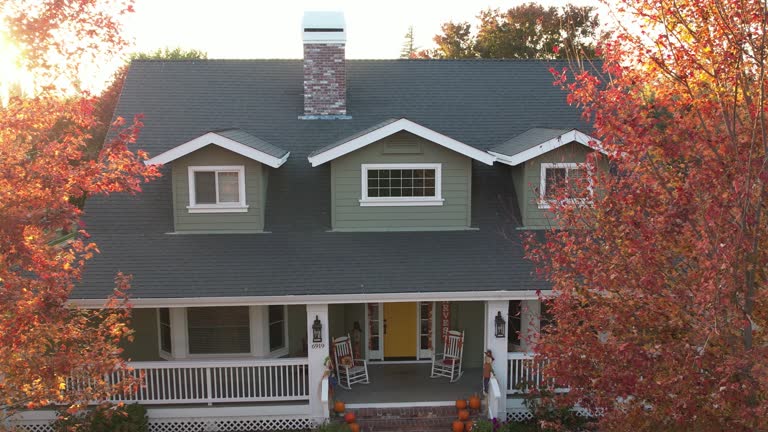 Best Gutter Installation and Repair  in Adamsville, TN