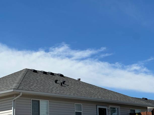Best Cold Roofs  in Adamsville, TN